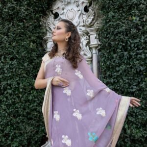 Sari chiffon kadwa zari border with multi kadhua buta