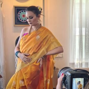 chanderi silk banarasi saree with bird motifs in gold silk threads