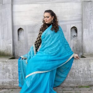 chiffon saree with checks in golden zari embellished with parsi border