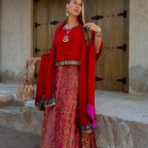 Brocade Silk Lehenga with Silk Blouse + Crushed Silk Shawl